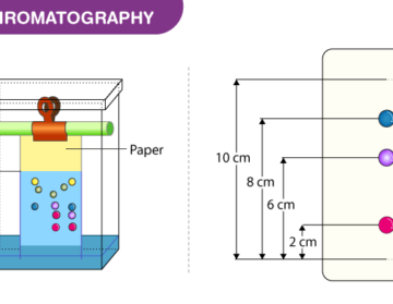 کروماتوگرافی Chromatography